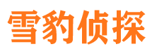 坊子市侦探公司